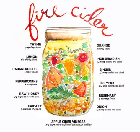 Master Tonic, Fire Cider Recipe, Cooking With Turmeric, Fire Cider, Cider Recipe, Cold Remedies, Natural Home Remedies, Health Matters, Natural Treatments