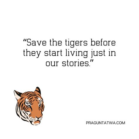 The goal of International Tiger Day 2024 is to protect and improve tiger habitats while raising awareness of the importance of conservation concerning many concerns that have contributed to the decline of tigers, including habitat destruction, rising temperatures, poaching, and hunting. #internationaltigerday #tigersday #tigers International Tiger Day, Tiger Habitat, Tiger Day, Tiger Conservation, Save The Tiger, Habitat Destruction, Sports Day, The Goal, Tigers