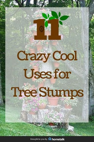 What To Do With Tree Stumps Ideas, Hollowed Out Tree Stump, Landscaping With Tree Stumps, Wood Stump Ideas Outdoor, Wood Stumps Ideas, Stump Ideas Landscaping, Landscaping Around Tree Stumps, What To Do With A Tree Stump, Things To Do With Tree Stumps