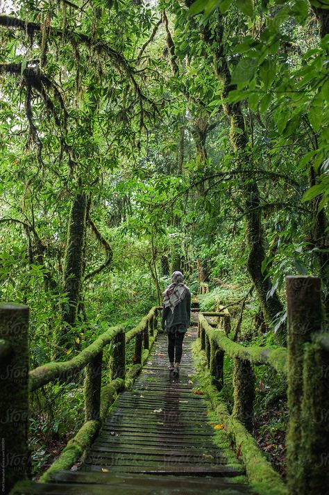 Khao Yai National Park Thailand, Elephant Nature Park Chiang Mai, Doi Suthep Chiang Mai, Doi Inthanon National Park, Sukhothai Historical Park, Chattahoochee National Forest, Ancient Temples, Chiang Mai, Tourist Attraction