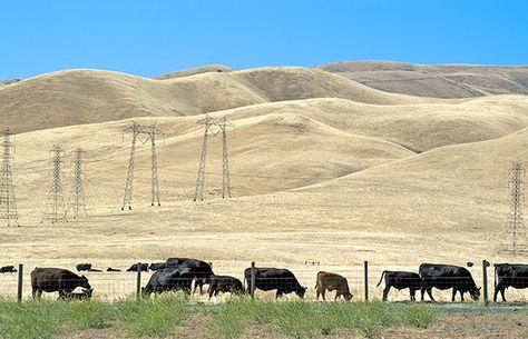 san joaquin valley - Google Search Sierra Mountains, San Joaquin Valley, Bass Lake, My Kind Of Town, California Girl, Central Valley, Home Birth, California Dreamin', The Ranch