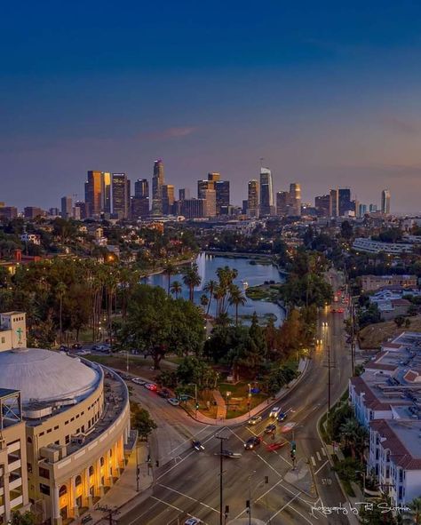 Echo Park Los Angeles, Echo Park Lake, Temple City, Cali Life, Rare Occasions, Los Angeles Travel, Los Angeles City, City Scene, City Of Angels