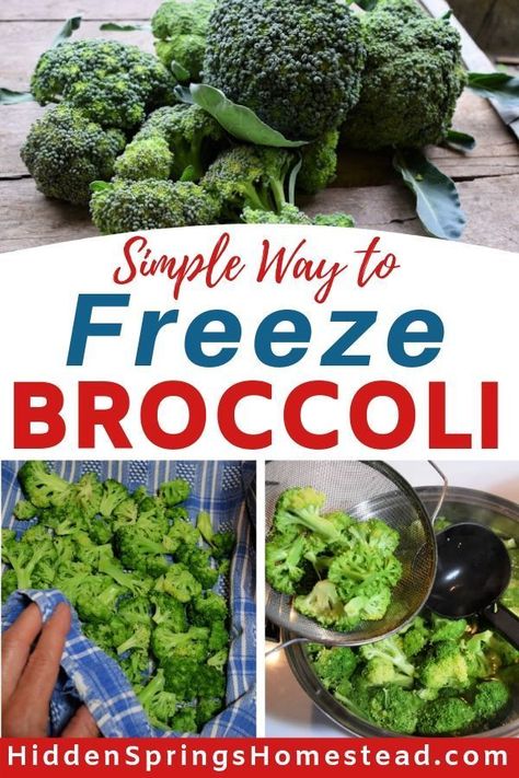 How To Freeze Broccoli Without Blanching, Freezing Broccoli How To, Freezing Broccoli Without Blanching, Preserving Broccoli, Freezer Vegetables, Freezing Broccoli, How To Freeze Broccoli, Freeze Broccoli, Freeze Vegetables