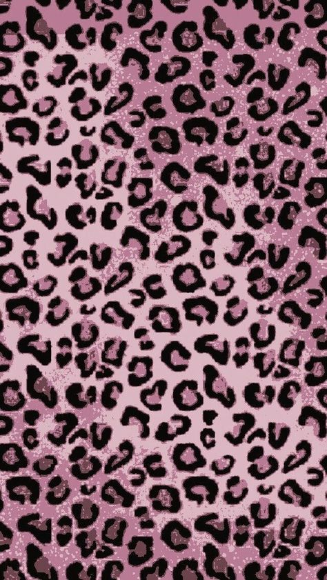 Mcbling Wallpaper, Pink Leopard Wallpaper, 2000s Wallpaper, Leopard Print Wallpaper, 2017 Wallpaper, Cheetah Print Wallpaper, Hello Kitty Wallpaper Hd, Images Hello Kitty, Catty Noir