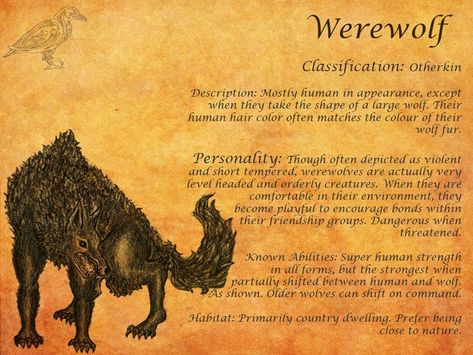 Interesting Werewolf Lore | Werewolves Werewolf Information, Werewolf Spells That Work, Werewolf Folklore, Werewolf Wedding, Werewolf Facts, Werewolf Core, Werewolf Fanart, Monster Mythology, Werewolf Lore