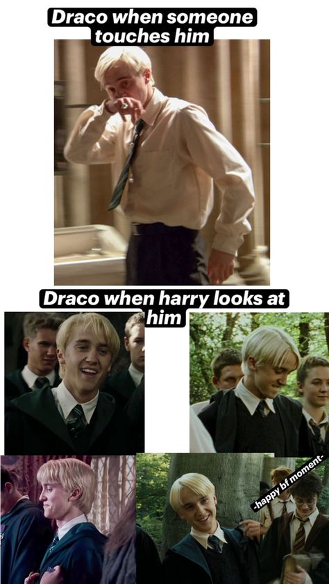 When there’s only one man that they respond to physically and verbally 😂 Draco Malfoy Funny, Harry Potter Parody, Drarry Fanart, Funny Harry Potter Jokes, Harry Draco, Draco Harry Potter, Harry Potter Draco Malfoy, Harry Potter Ships, Harry Potter Collection