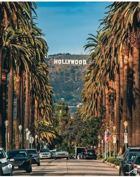 Hollywood Sign Pictures, Los Angeles Photoshoot, La Pictures, Los Angeles Wallpaper, California Wallpaper, Uc Irvine, Los Angeles Aesthetic, Temple City, Alcatraz Island