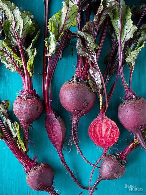 Give these sweet, tender vegetables a try. How To Store Beets, How To Grow Beets, How To Store Celery, Grow Beets, Growing Beets, Fresh Beets, Root Veggies, Red Beets, Beet Greens