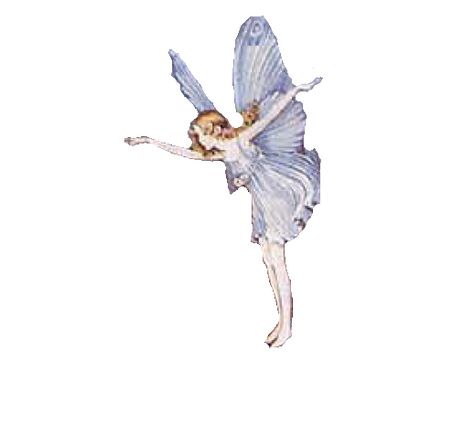 Green Academia Aesthetic, Dragonfly Fairy, Ida Rentoul Outhwaite, Cottagecore Icons, Butterfly Dragonfly, Fairy Butterfly, Fairy Stickers, Collage Book, Night Flight