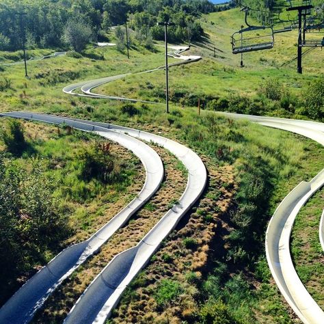 Alpine Slides - Utah Alpine Slide Colorado, Colorado Aesthetic, Alpine Slide, Utah, Colorado, Slides, Country Roads, Road