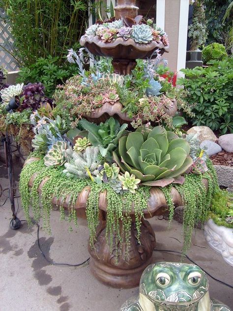 a succulent fountain Diy Water Fountain, نباتات منزلية, Succulent Garden Design, Succulent Gardening, Succulents In Containers, The Secret Garden, Garden Containers, Garden Fountains, Cactus Y Suculentas