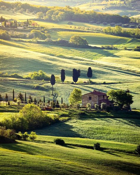 Map of Italy on Instagram: “Val d'Orcia is a valley in the province of Siena, Tuscany. What is this? It is an area characterized by a hilly landscape dotted with small…” Hilly Landscape, Pumpkin Field, Map Of Italy, Val D Orcia, Italy Map, Green Belt, Beautiful Sites, Natural Pool, Natural Eye Makeup