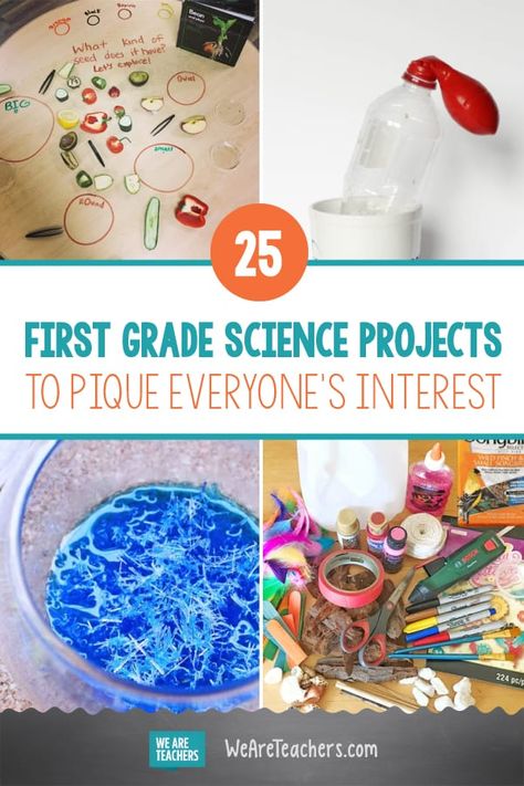 25 First Grade Science Projects to Pique Everyone’s Interest. First grade science projects, activities, and experiments that are fun for everyone, and the hands-on learning can't be beat. Try these 25 on for size! #science #teachingscience #STEM #firstgrade #teaching 1st Grade Science Fair, 4th Grade Science Experiments, First Grade Science Projects, 5th Grade Science Projects, Homeschool Science Experiments, 1st Grade Activities, 1st Grade Science, First Grade Science, 4th Grade Science