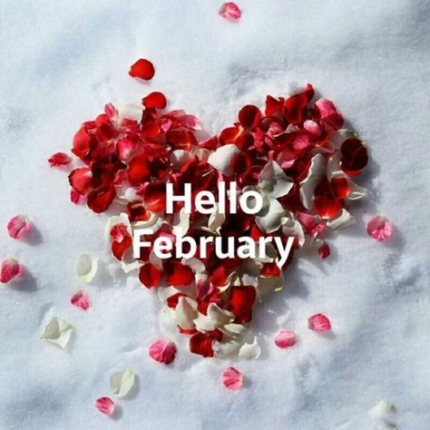 20 Beautiful February Quotes To Celebrate The New Month February Images, Welcome February, February Quotes, February Wallpaper, February Month, Hello February, Hello January, Seasons Months, Happy February