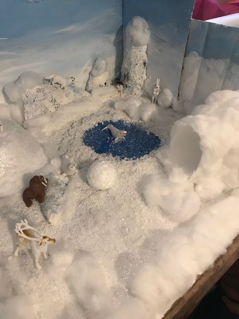 Arctic tundra project Winter Diorama Kids, Tundra Biome Project, Science Diorama, Artic Tundra, Tundra Project, Shoe Box Diorama, Tundra Biome, Arctic Habitat, Biomes Project