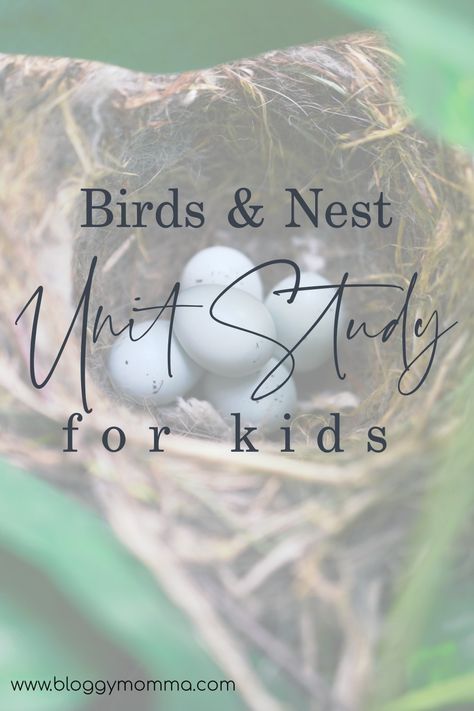 Birds And Their Nests, Birds Nests, What To Study, Weaving For Kids, Bird Nests, 1st Grade Writing, Nature Science, Science Units, Study Plan