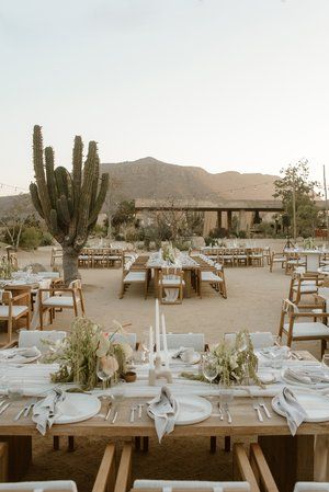 Vintage Desert Wedding, Small Arizona Wedding, Todos Santos Wedding, Organic Tablescape, Desert Theme Wedding, Desert Wedding Ceremony, Mexican Wedding Centerpieces, Desert Wedding Decor, Desert Ranch