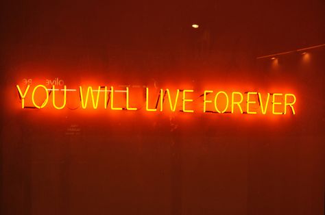 Tim Etchells: Neon Signs by Sarah Grisedale, via Flickr Orange Pictures, Indrid Cold, Sign Aesthetic, Orange Walls, Rainbow Aesthetic, Orange You Glad, Neon Aesthetic, Orange Aesthetic, Orange Wallpaper