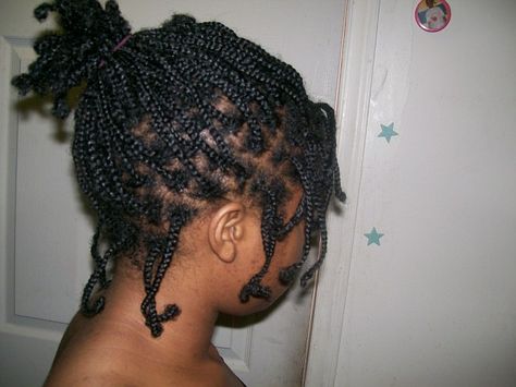 Protective style no extension box braids ...love the look. Mini Twists Natural Hair, Braids Natural Hair, Mini Braids, Rope Braided Hairstyle, Fine Natural Hair, Natural Braids, Box Braids Hairstyles For Black Women, Natural Hair Twists, Mini Twists