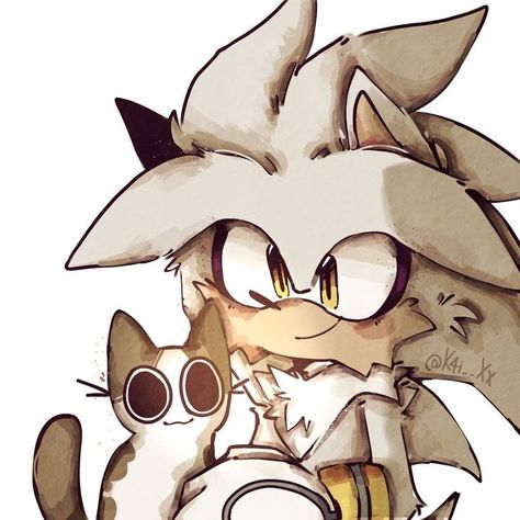 Silver The Hedgehog, Sonic Characters, Sonic And Amy, Sonic Funny, Sonic Fan Characters, Sonic Franchise, Hedgehog Art, Sonic Fan Art, Sonic Art