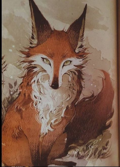 Fox Artwork, Fox Drawing, Fox Illustration, Fantasy Creatures Art, Fox Art, Arte Animal, Cute Animal Drawings, Red Fox, Creature Art