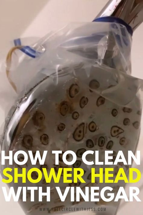 how to clean a shower head without removing it Clean A Shower Head, Shower Head Cleaner, Clean Girl Aesthetic Makeup, Clean Supplies, Best Shower Cleaner, Cleaning Shower Tiles, Homemade Shower Cleaner, Cleaning Shower Head, Home Cleaning Tips