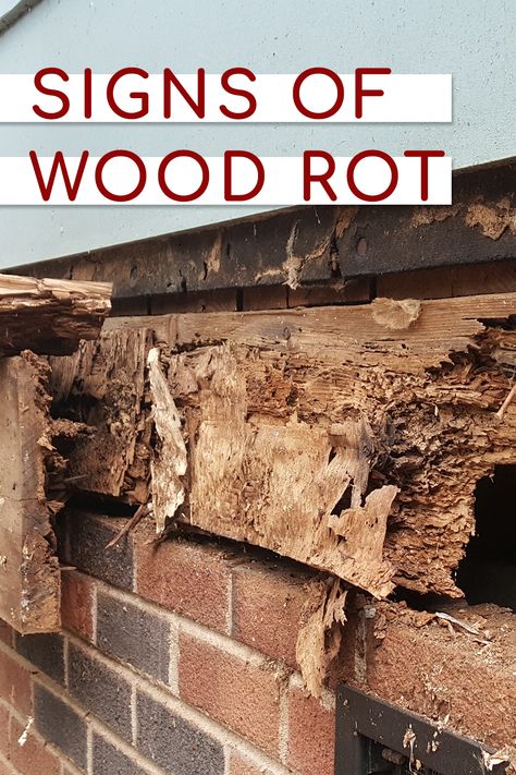 Warped Wood Fix Diy, Rotted Wood Repair, Rotten Wood Repair Diy, How To Fix Warped Wood, Wood Rot Repair, Crawl Space Repair, House Tips, Brick Exterior, Brick Exterior House