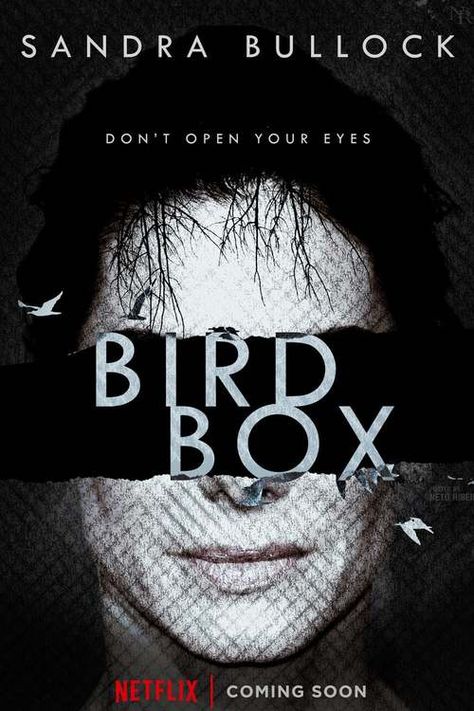 Bird Box DVD Release Date Bird Box Movie, Misery Movie, Top Rated Movies, Netflix Horror, Movie To Watch List, Bird Box, Septième Art, 2018 Movies, Thriller Movies