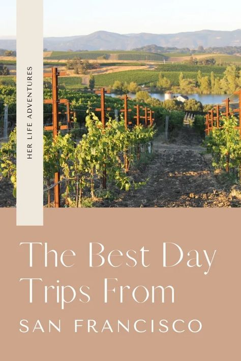 The Best Day Trips from San Francisco San Francisco Beach, Weekend In San Francisco, Coastal Redwood, Stinson Beach, Channel Islands National Park, Yosemite Falls, Wine Country California, Usa Travel Guide, San Francisco Travel