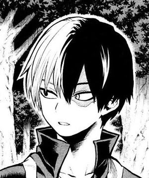 Daily Shoto (@shotodaily) / Twitter Bnha Manga, Shouto Todoroki, Todoroki Shouto, Manga Wall, Manga Icons, Manga Panels, Boku No Hero Academia, Boku No Hero, My Hero Academia