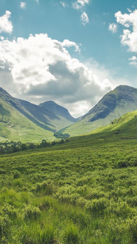 숲 사진, Nature Iphone Wallpaper, Fotografi Vintage, Green Field, Mountain Wallpaper, Open Field, Green Nature, Alam Yang Indah, Nature Images