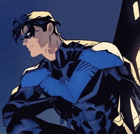 Nightwing Icon, Nightwing Art, Dc Icons, Dc Comics Superheroes, Dc Comics Artwork, Dc Comics Characters, Batman Family, Utila, Detective Comics