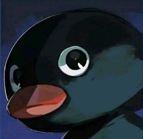 Pinguin Meme, Pingu Pingu, Penguin Cartoon, Penguin Drawing, Anime Sites, Creative Profile Picture, Cover Art Design, Cat Icon, Get Shot