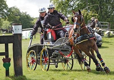 Introduction to British Carriage Driving Western Pleasure Riding, Types Of Horseback Riding, Driving Aesthetic, Horse Competition, Horse Cart, Red And White Flag, Carriage Driving, Clean Bandit, Western Riding