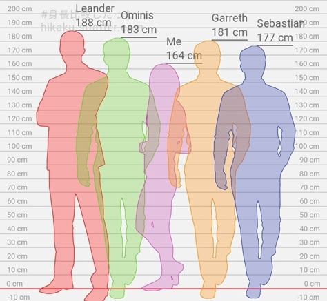 Height Comparison Chart, Always Hp, Height Comparison, Hogwarts Games, Human Height, Chris Briney, Sebastian Sallow, Freddy Carter, Comparison Chart