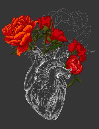 Anatomical Heart Wallpapers  Wallpaper Cave