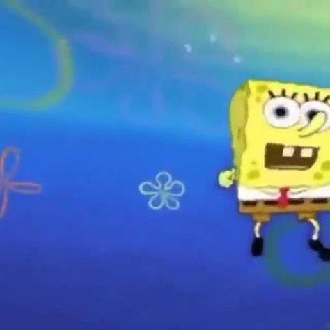 Spongebob Videos Funny, Spongebob Videos, Funny Spongebob Videos, Spongebob Stuff, Spongebob Gif, Spongebob Funny Pictures, Spongebob Funny, Vines Funny Videos, Funny Cartoon Gifs