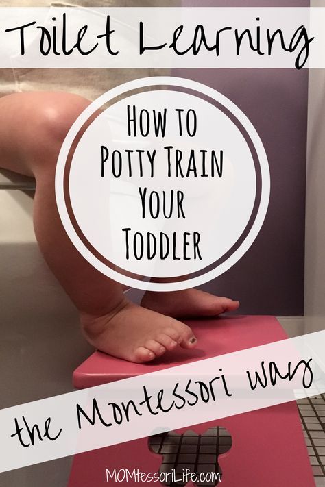 Toddler Toilet, How To Potty Train, Potty Training Girls, Toddler Potty, Potty Training Boys, Toddler Teacher, Toddler Potty Training, Starting Potty Training, Potty Time