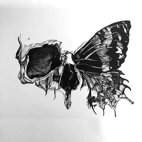 Half Skull Butterfly Tattoo Design Skull Butterfly Tattoo Design, Skull Butterfly Tattoo, Butterfly Tattoo Design, Skull Butterfly, Half Skull, Irezumi Tattoos, Tattoos Skull, Butterfly Tattoo Designs, Skull Tattoo Design