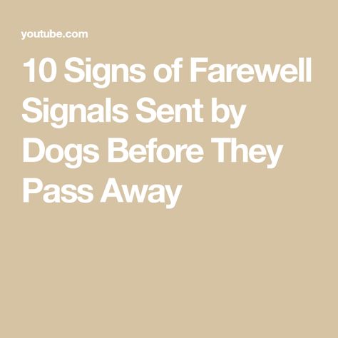 10 Signs of Farewell Signals Sent by Dogs Before They Pass Away Farewell Words, A Dog, The Creator, Signs, Health, Dogs, 10 Things