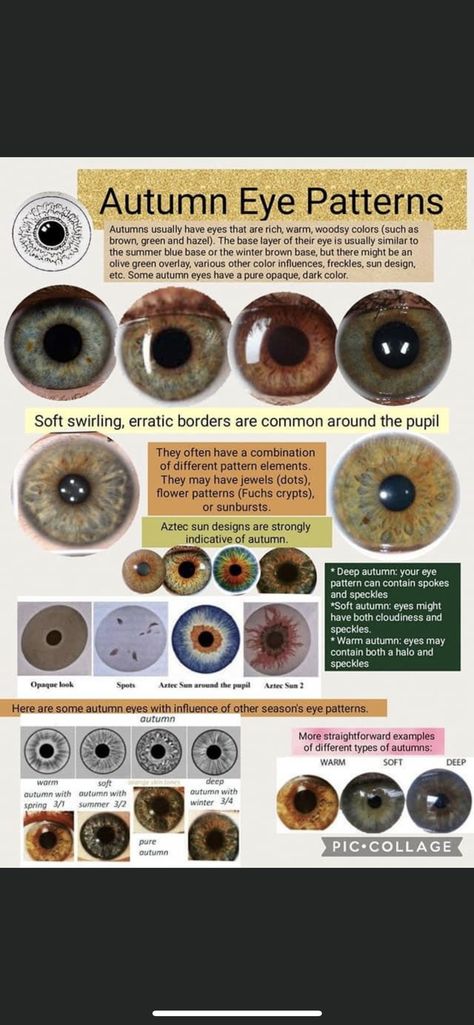 Summer Eye Color Analysis, Seasonal Eye Patterns, Soft Autumn Eye Color, Soft Autumn Blue Eyes, Autumn Eye Pattern, Soft Autumn Eyes, Color Analysis Eye Pattern, Eye Pattern Color Analysis, Soft Autumn Nail Colors