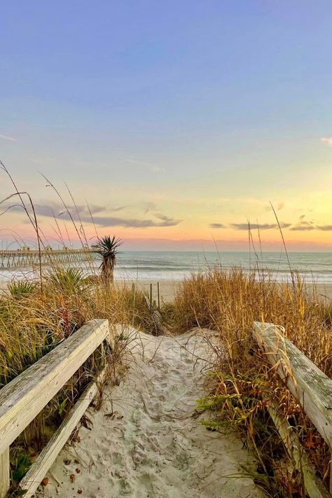 Summer Getaways Guide | Emerald Isle and the Crystal Coast | Emerald Isle Realty Emerald Isle North Carolina, Cottage Beach House, Friend Vacation, Beach House Rental, Beach Wedding Photos, Atlantic Beach, Vacation Deals, Fishing Charters, Beach Activities