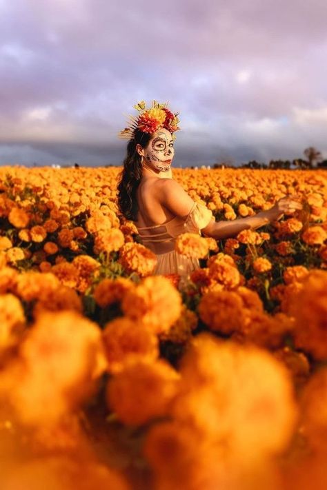 Sunflower Festival Photoshoot, Traditional Mexican Photoshoot, Burning Flowers Photoshoot, Day Of The Dead Photoshoot, Dia De Los Muertos Photo Shoot Ideas, Coco Ofrenda Pictures, Mexico Day Of The Dead, Photoshoot Idea, Mexican Holiday