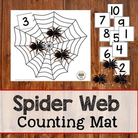 Children in Pre-K will learn to count with the Spider Web Counting Mat and it's fun! Buy the Spider Activity Pack for this activity! #shop #prekprintablefun Spider Activities, Halloween Web, Preschool Fall, Homeschool Preschool Curriculum, Insects Theme, Preschool Planning, Free Preschool Printables, Free Printable Activities, Math Counting