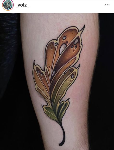 Fable Tattoo, Fall Leaves Tattoo, Learn To Tattoo, Earthy Tattoos, Neo Tattoo, Autumn Tattoo, Leaf Tattoo, Bug Tattoo, Rabbit Tattoos