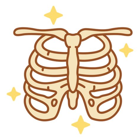 Skeleton rib cage color stroke PNG Design Skeleton Doodle Simple, Ribs Skeleton Png, Easy Ribcage Drawing, Ribcage Drawing Simple, Simple Rib Cage Drawing, T Shirts Ideas Design Creative, Cute Bone Drawing, Simple Ribcage Drawing, Cartoon Ribcage