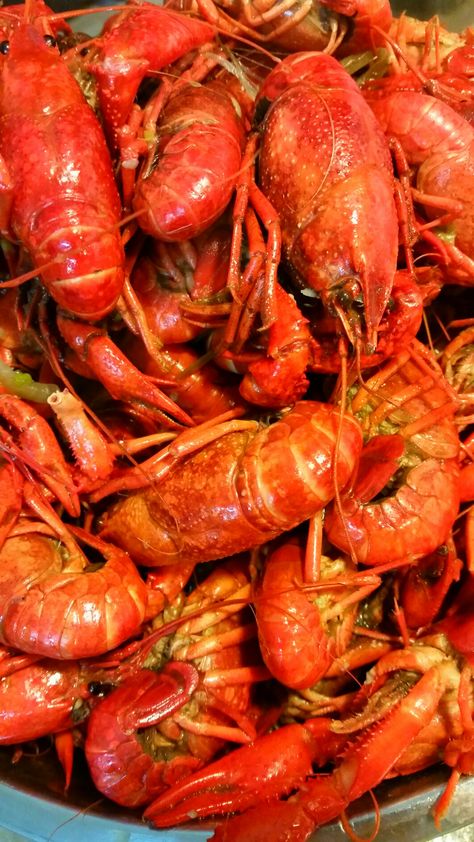 Crawfish Craw Fish, How To Eat Crawfish, Crawfish Photography, Crawfish Background, Crawfish Poboy, Seafood Broil, Crawfish Recipes, Crawfish Season, Yummy Seafood