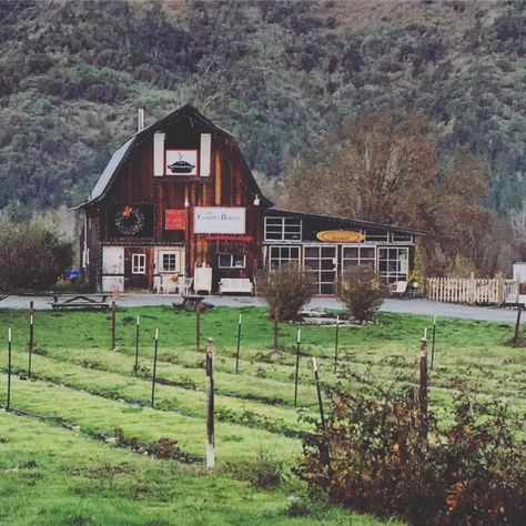 There's a Bakery On This Beautiful Farm In Oregon And You Have To Visit Diabetics Diet, Foods For Diabetics, Visit Oregon, Oregon Life, Oregon Living, Oregon Trip, Oregon Road Trip, Travel Oregon, Grants Pass