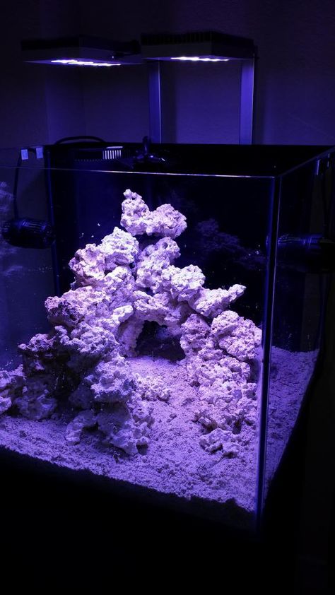 Reef Aquascape, Saltwater Aquarium Beginner, Reef Aquascaping, Reef Tank Aquascaping, Saltwater Aquarium Setup, Nano Reef Tank, Coral Aquarium, Marine Fish Tanks, Saltwater Aquarium Fish