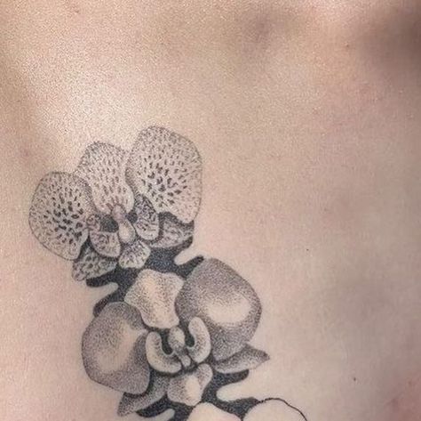 𝕠 𝕝 𝕝 𝕪 on Instagram: "zoë crushing it at the ‘send healed pix’ game ! orchid settled from 2 months ago :~)" Orchid Back Tattoo, Sternum Tattoo Women, Orchid Tattoo, Sternum Tattoo, Tattoo Women, 2 Months, Bumper Stickers, Tattoos For Women, Tatting